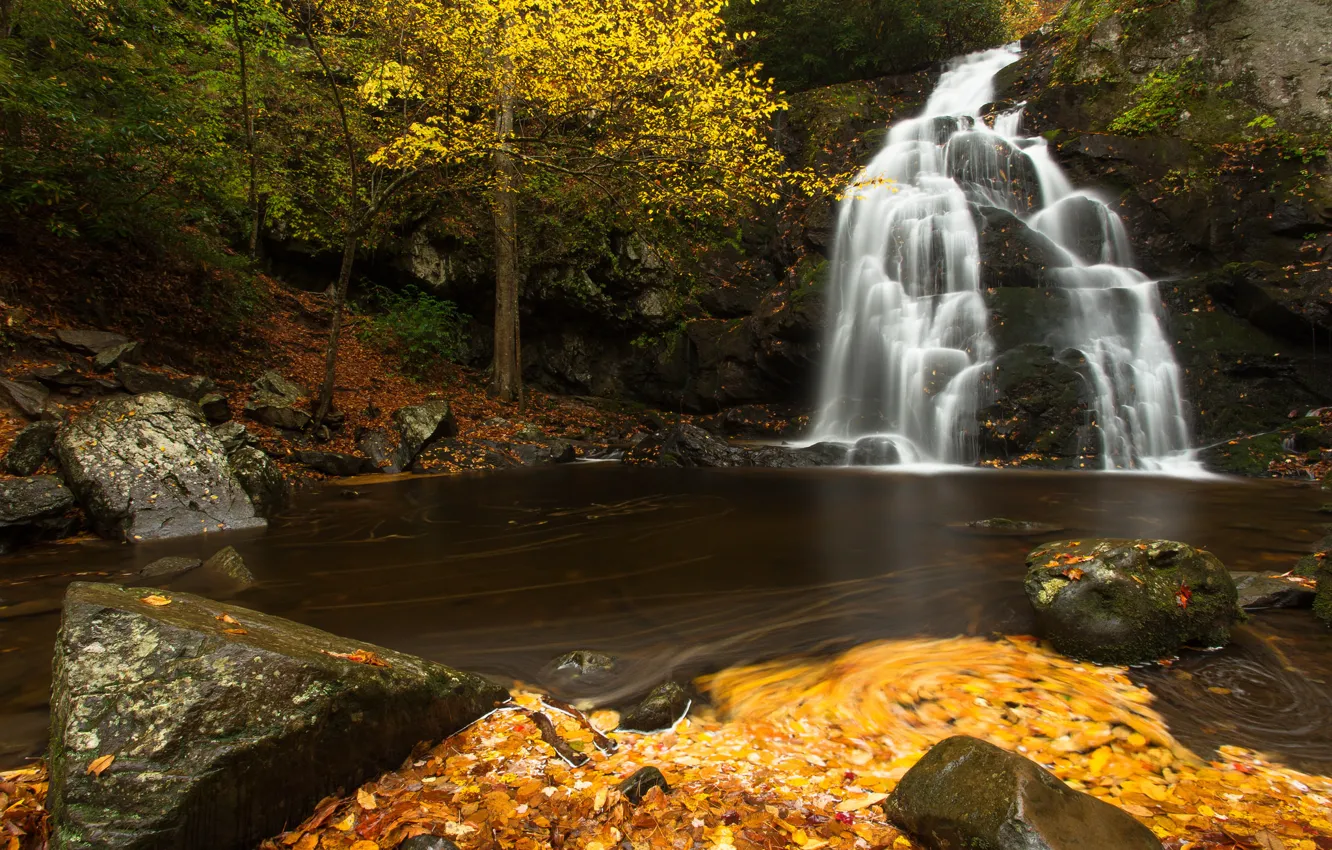 Photo wallpaper autumn, leaves, river, stones, waterfall, cascade, Tennessee, Tn