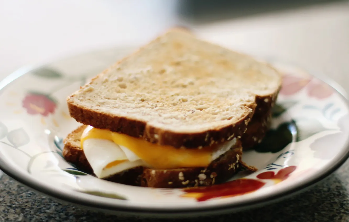 Photo wallpaper cheese, egg, sandwhich