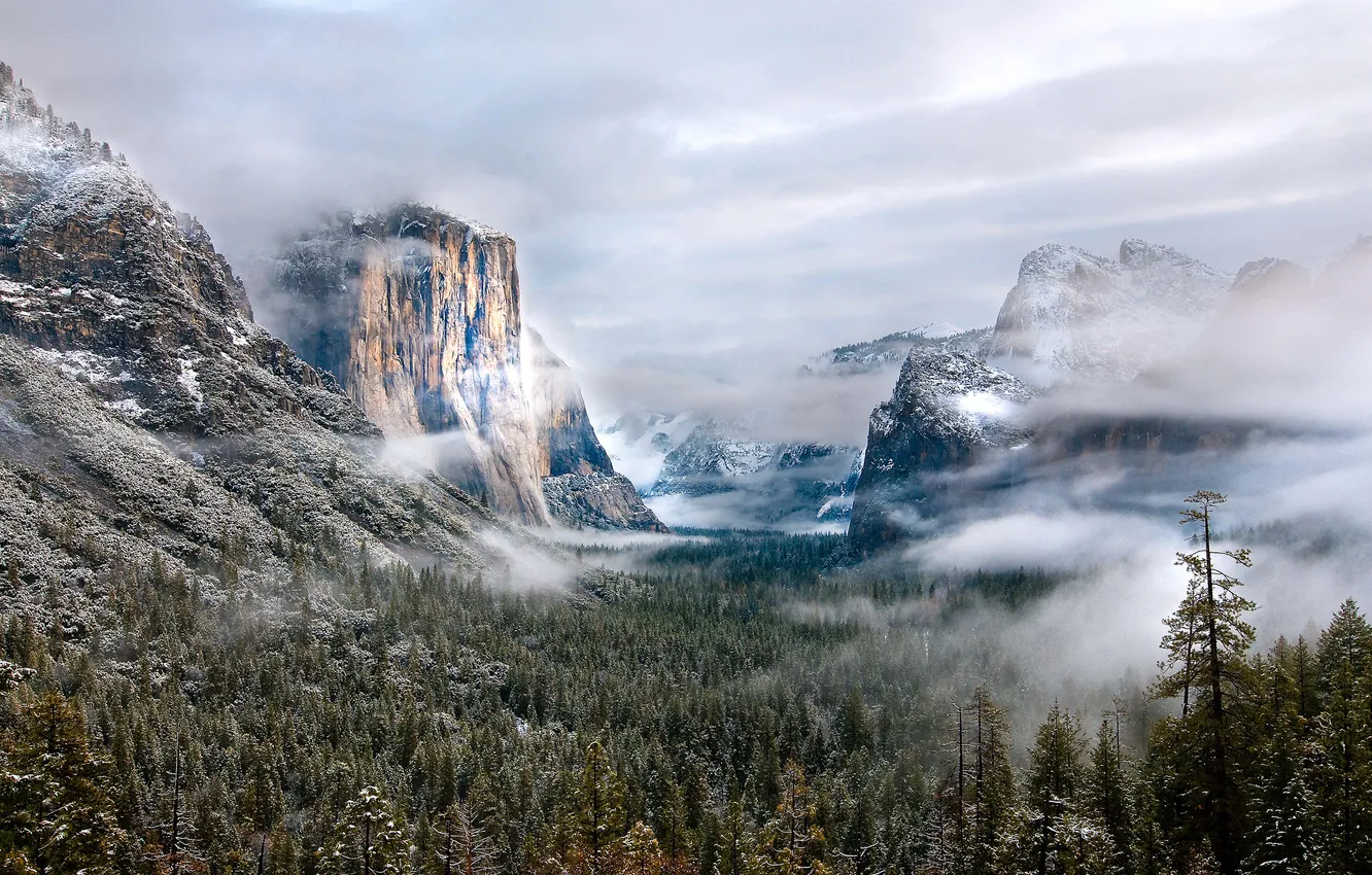 Photo wallpaper winter, forest, mountains