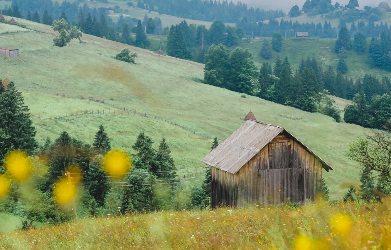 Photo wallpaper field, forest, flowers, mountains, ate, slope, meadow, house