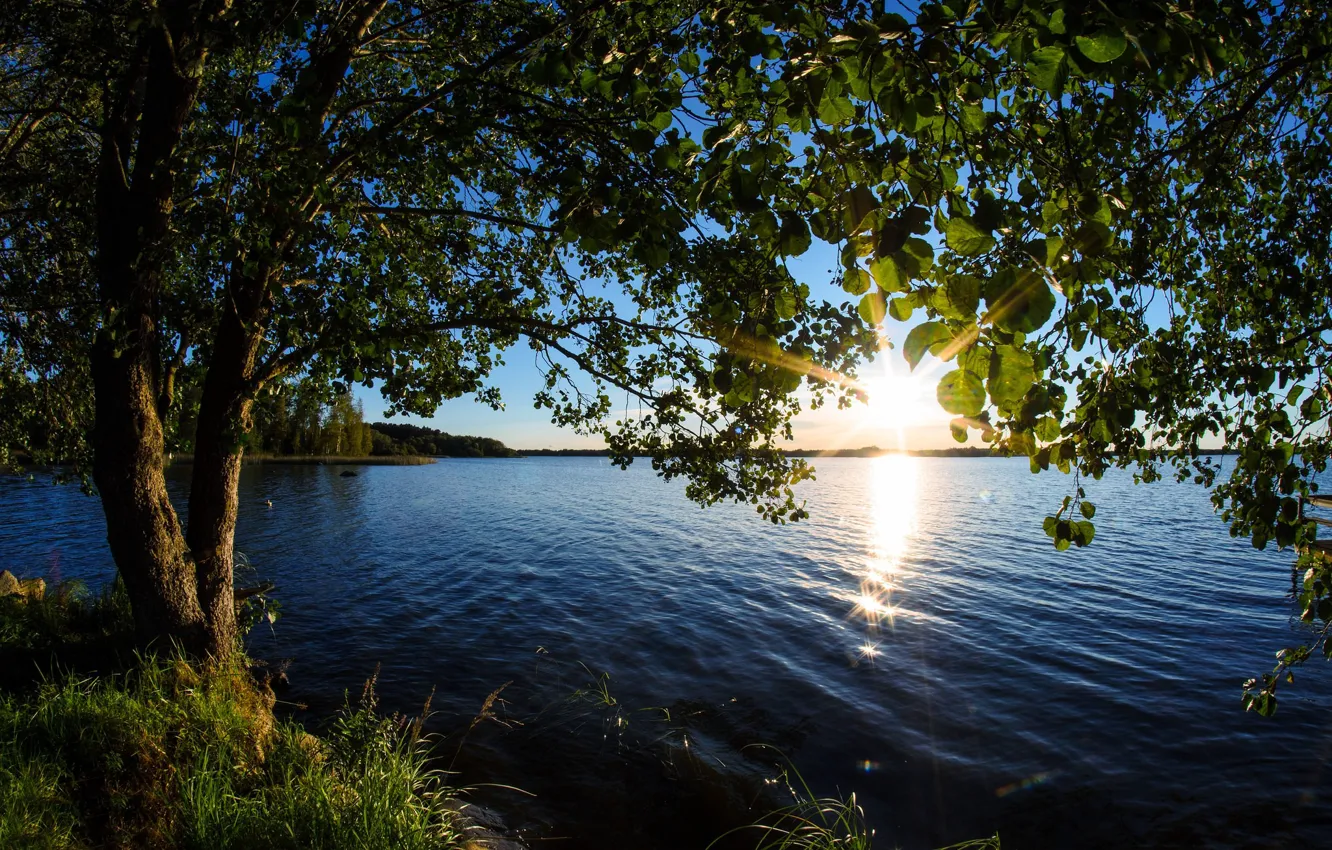 Photo wallpaper the sun, sunset, lake, Finland, Lake Hinjärv