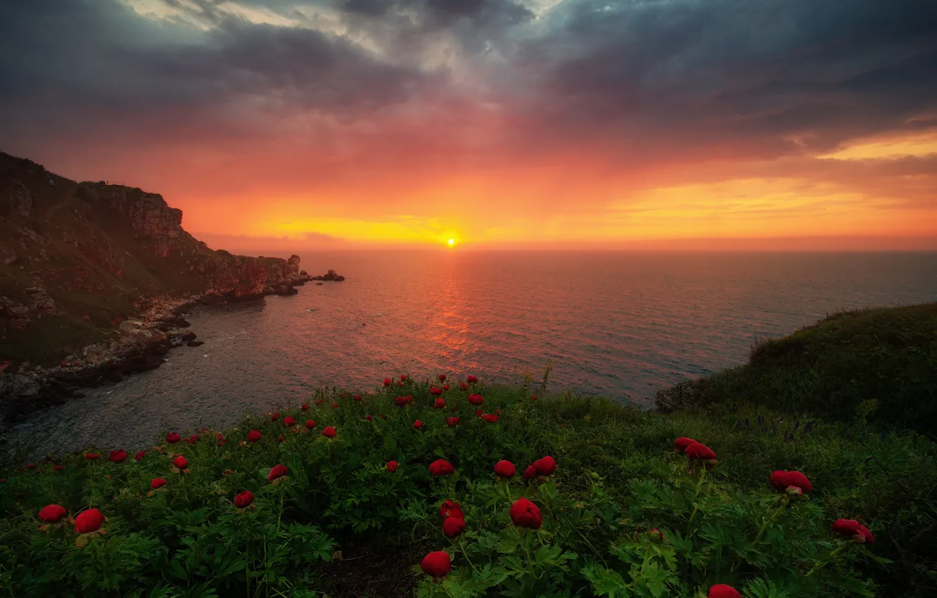 Photo wallpaper sea, landscape, sunset, flowers, nature, rocks, shore, peonies