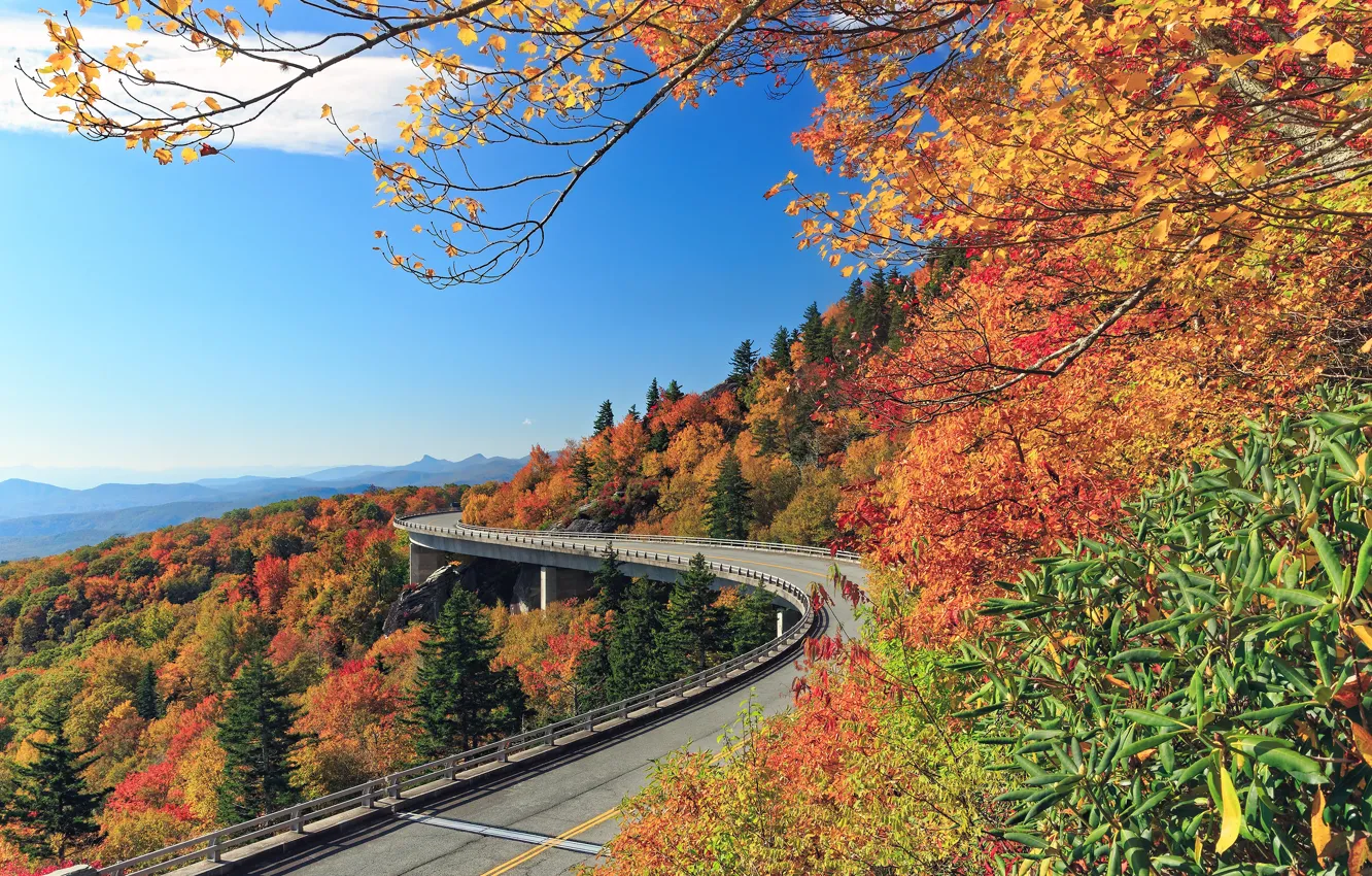 Photo wallpaper road, autumn, forest, trees, mountains, North Carolina, North Carolina, Blue Ridge Mountains