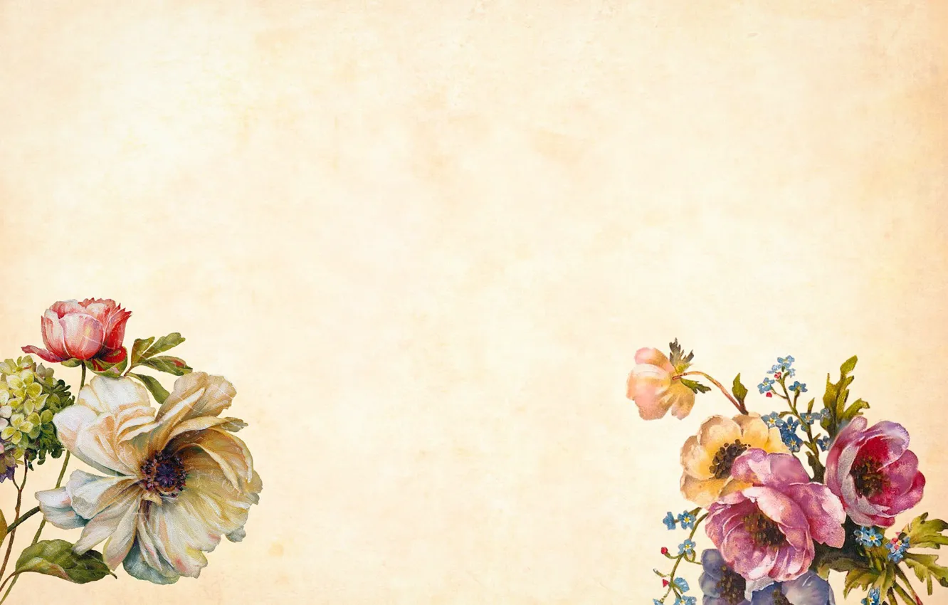 Photo wallpaper flowers, background, Texture, beige