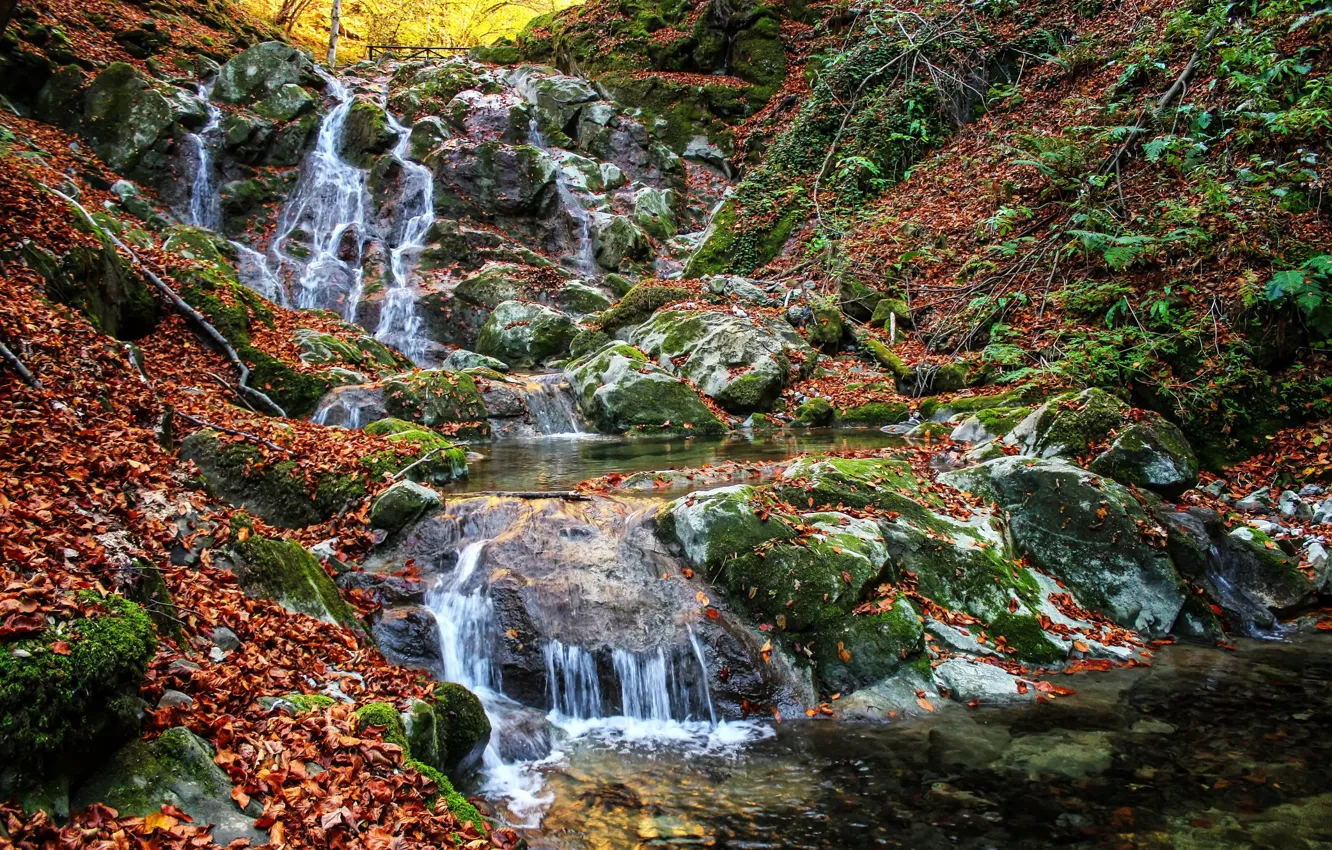 Photo wallpaper autumn, stones, waterfall, moss, cascade, fallen leaves