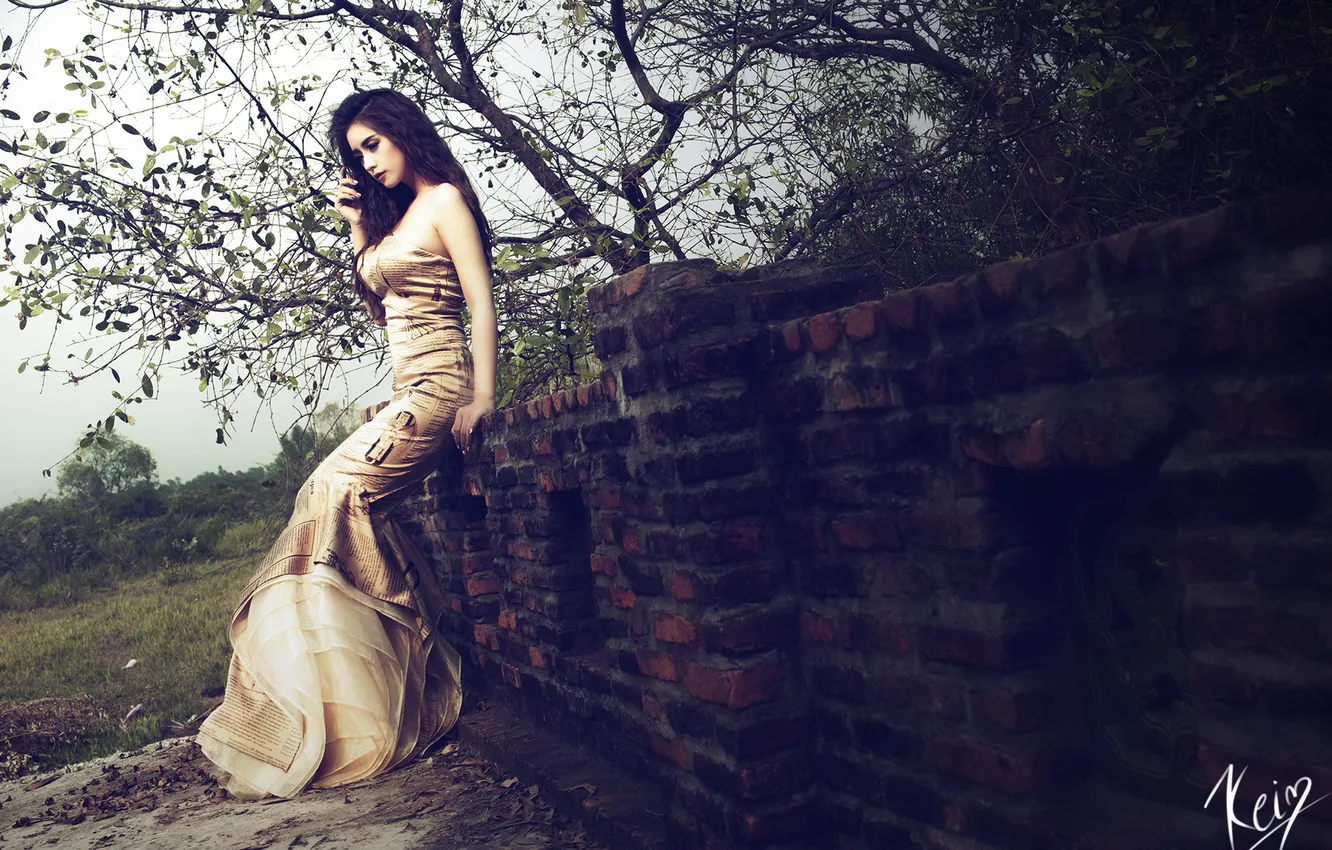 Photo wallpaper girl, background, Asian