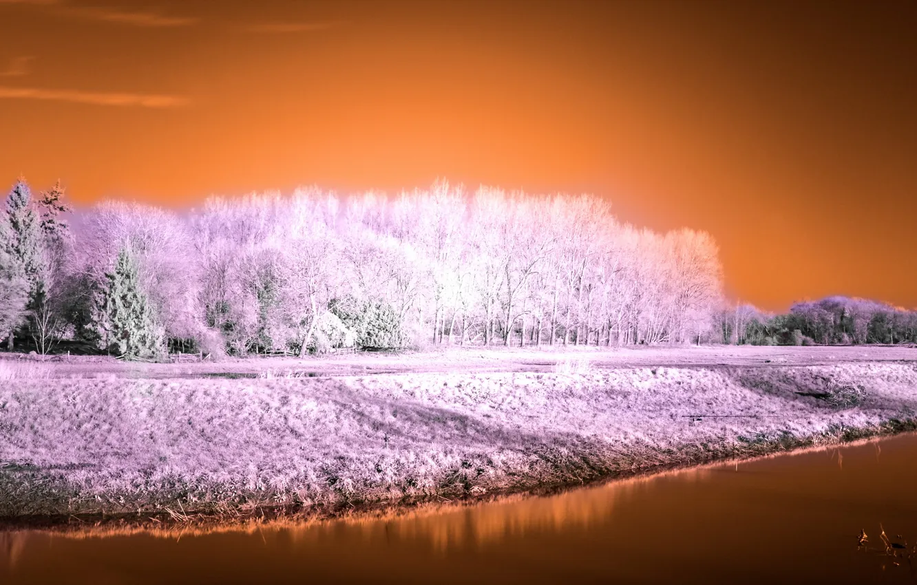 Photo wallpaper landscape, river, False colour