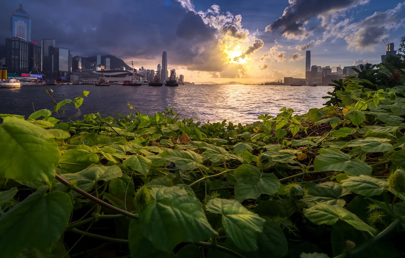 Photo wallpaper sunset, the city, river