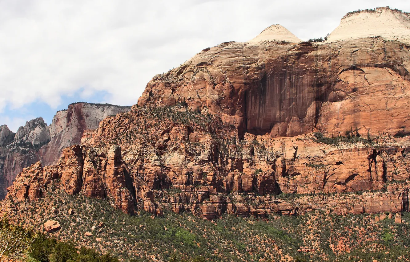 Photo wallpaper the sky, trees, landscape, mountains, Zion National Park, Utah, Zion national Park