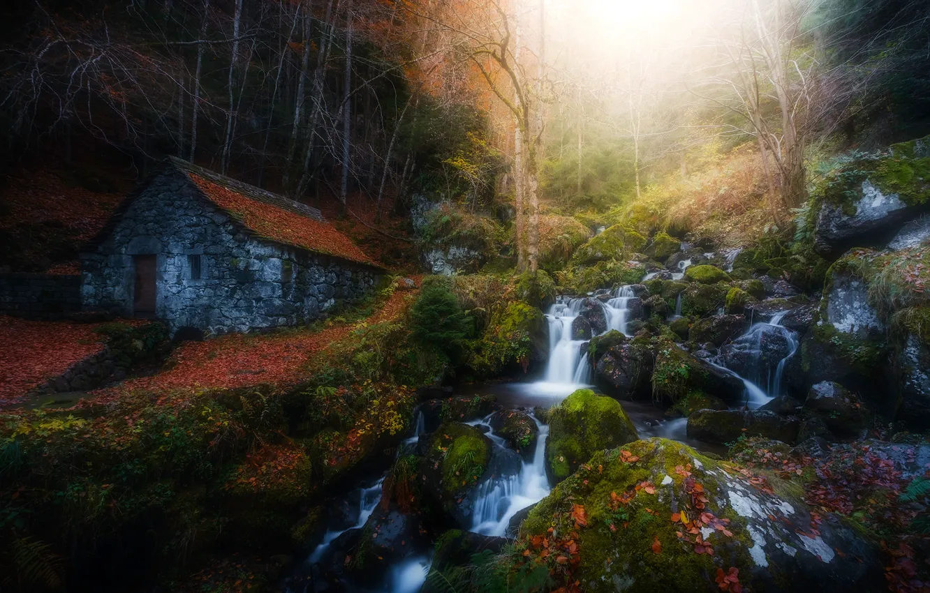 Photo wallpaper autumn, forest, stream, stones, France, waterfall, moss, home
