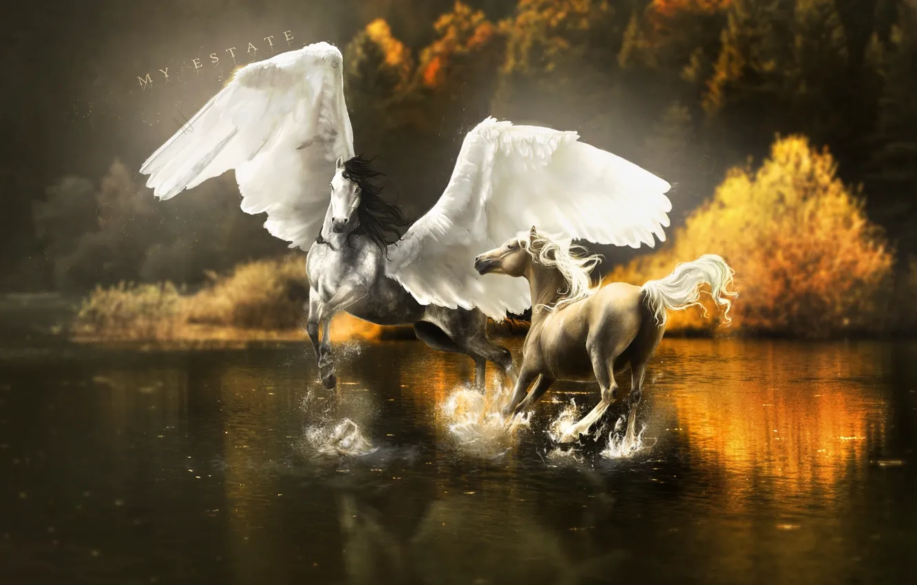 Photo wallpaper water, trees, squirt, reflection, fiction, wings, horse, art