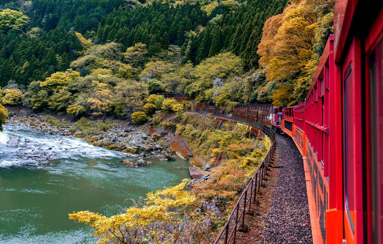 Photo wallpaper train, Japan, Kyoto, Sagano Railway