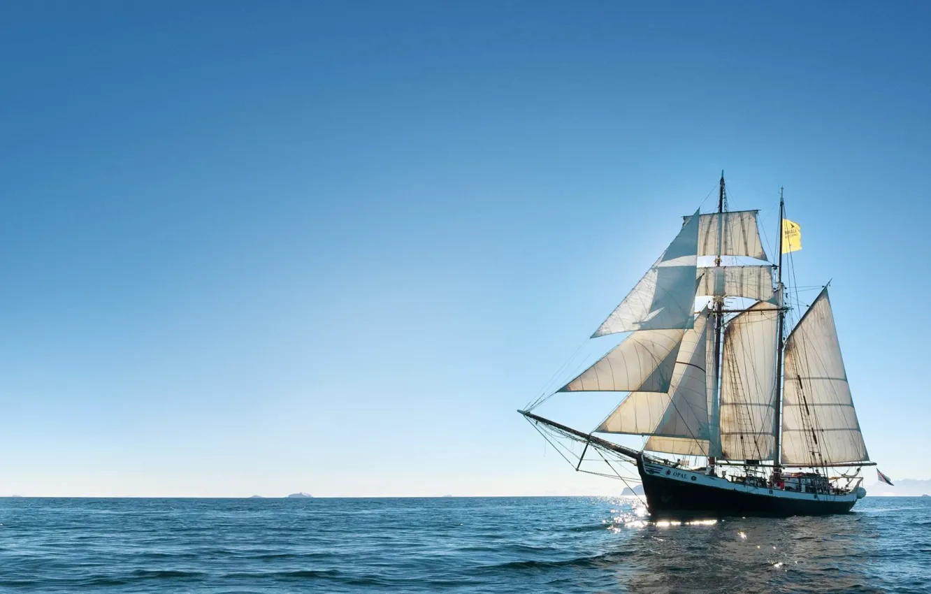 Photo wallpaper the ocean, ship, sailboat, research vessel, whale watching, Whale watching in a sailing boat