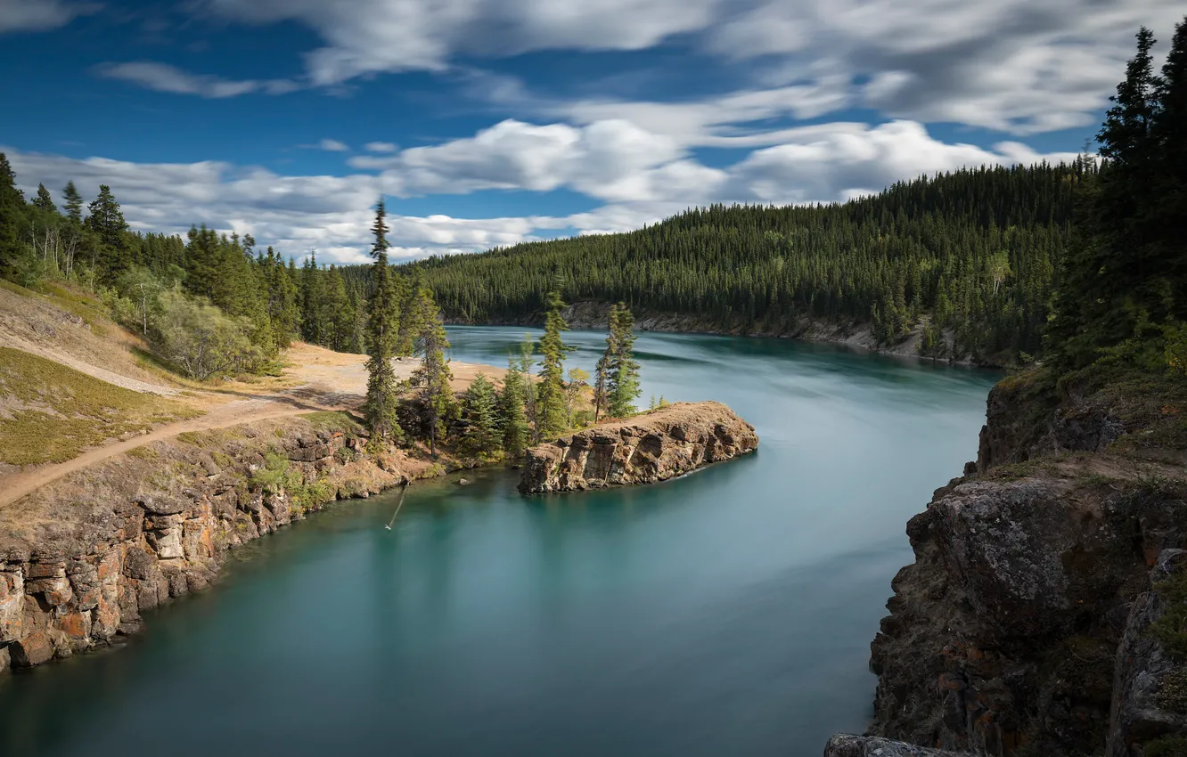 Photo wallpaper forest, river, Canada, Canada, Yukon, Yukon, Yukon River, The Yukon River