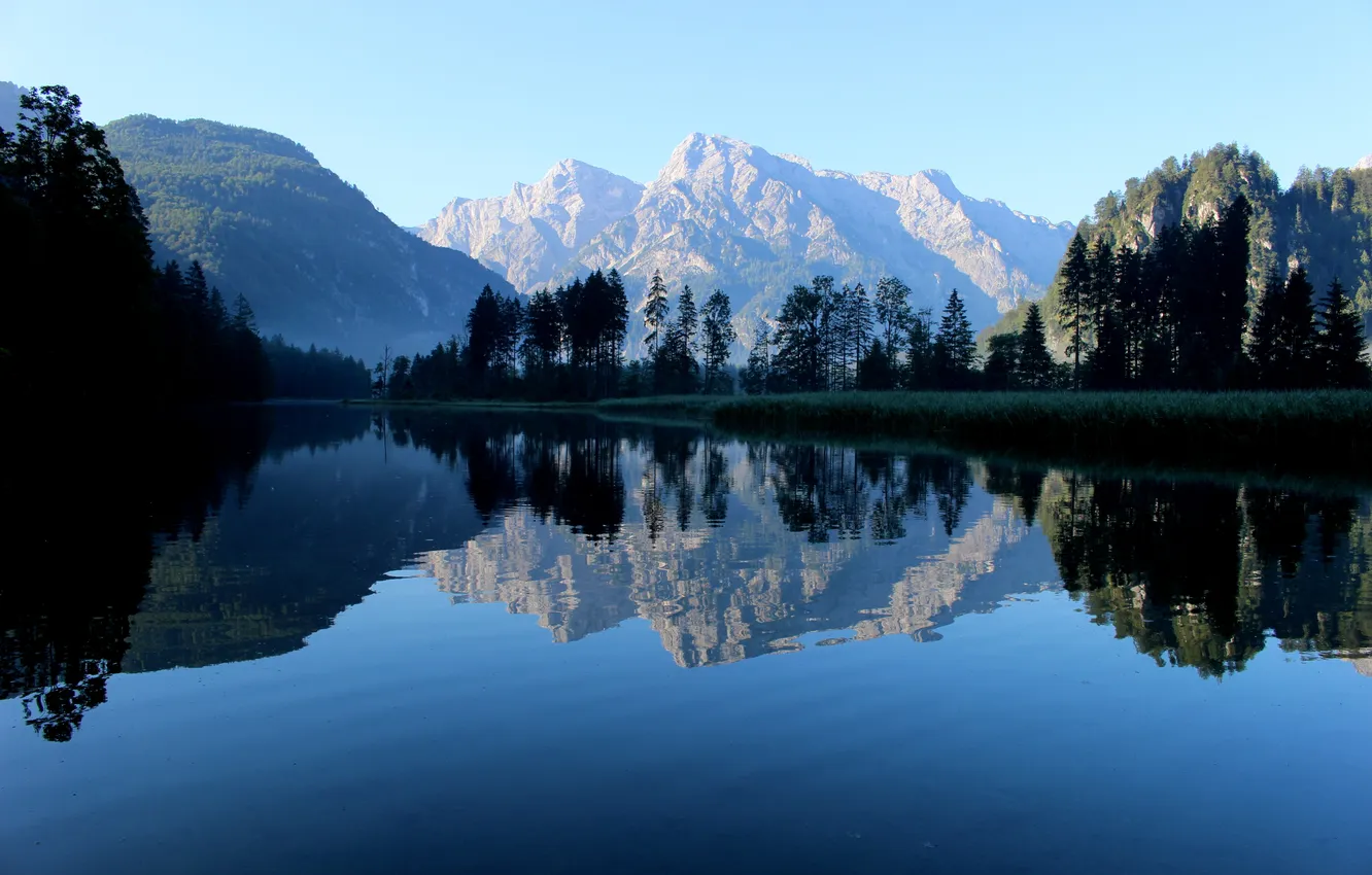 Photo wallpaper forest, the sky, trees, landscape, mountains, nature, lake, rocks