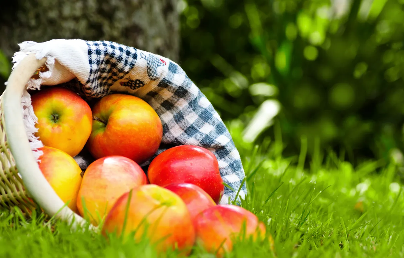 Photo wallpaper grass, basket, apples, red, fruit, napkin, ripe