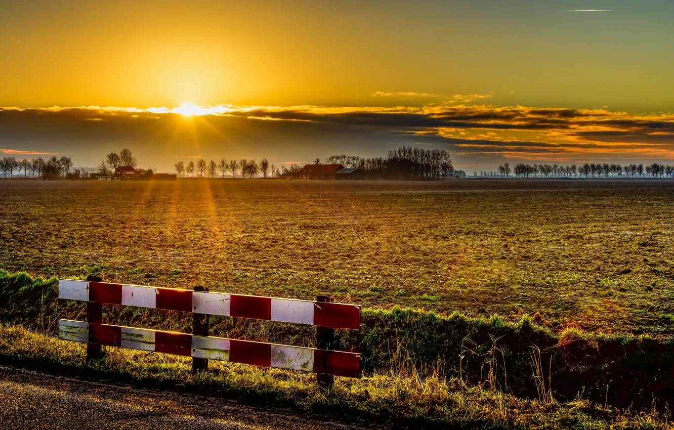 Photo wallpaper road, field, sunset