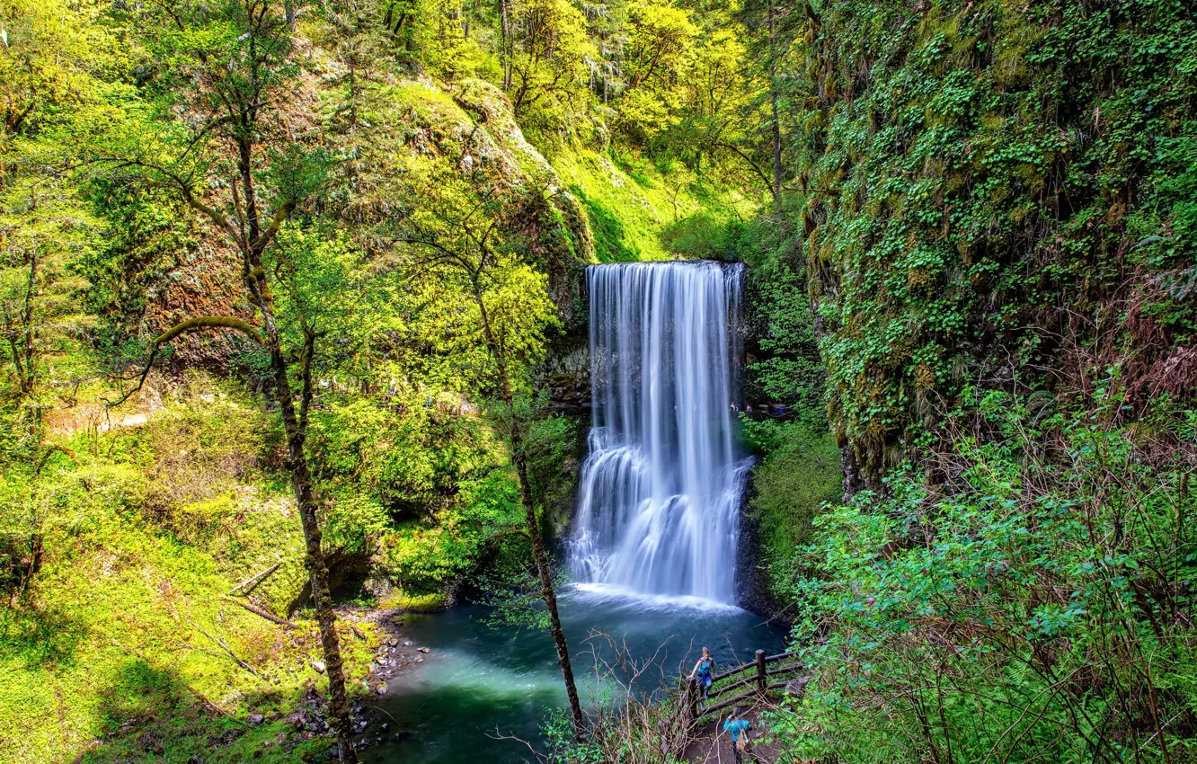 Photo wallpaper greens, forest, waterfall