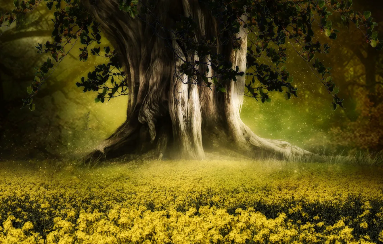 Photo wallpaper glade, flowers, big tree