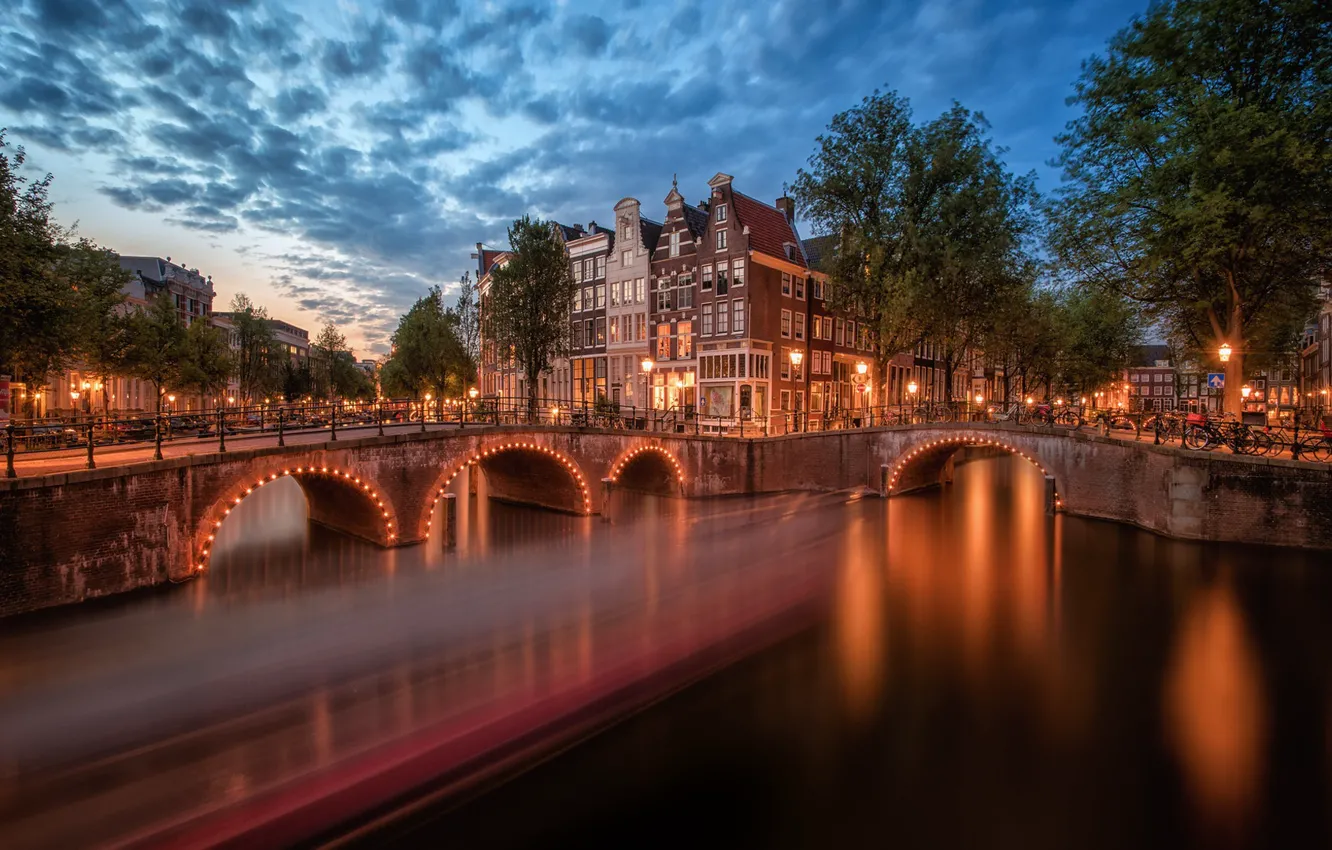 Photo wallpaper trees, bridge, building, home, Amsterdam, channel, Netherlands, night city