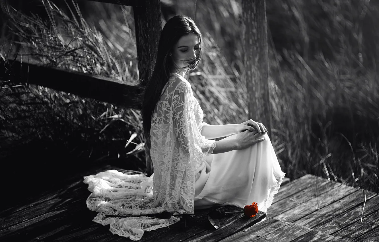 Photo wallpaper girl, roses, Marta Belda