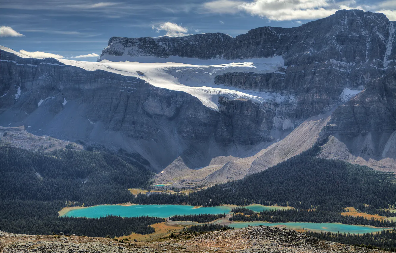 Photo wallpaper forest, the sky, clouds, trees, mountains, lake
