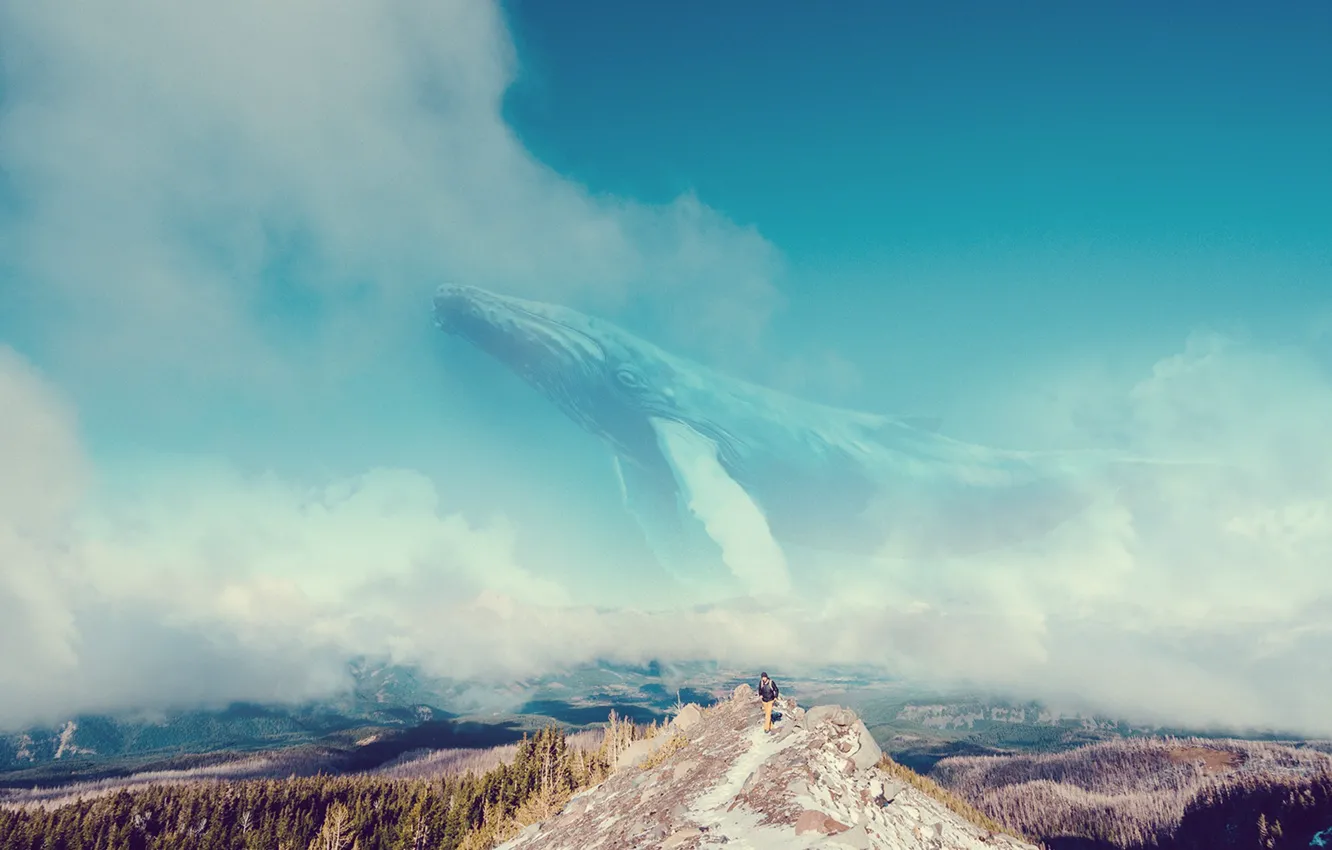Photo wallpaper the sky, clouds, mood, people, kit