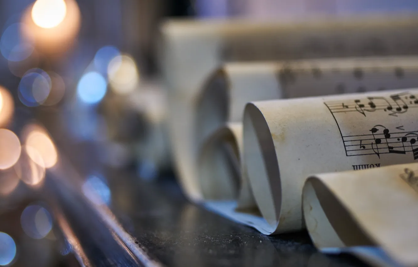 Photo wallpaper macro, notes, music