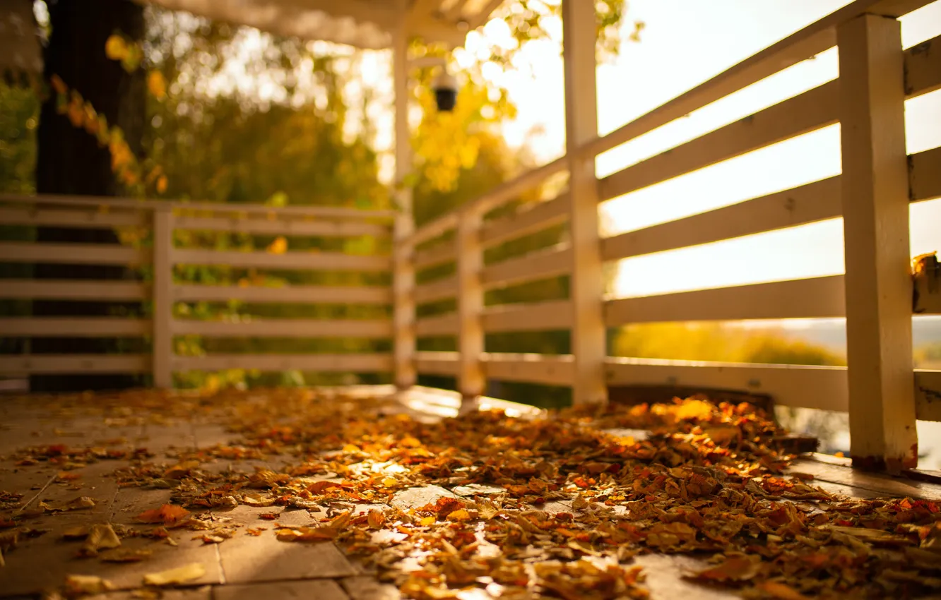 Photo wallpaper autumn, the sun, foliage, weather, terrace