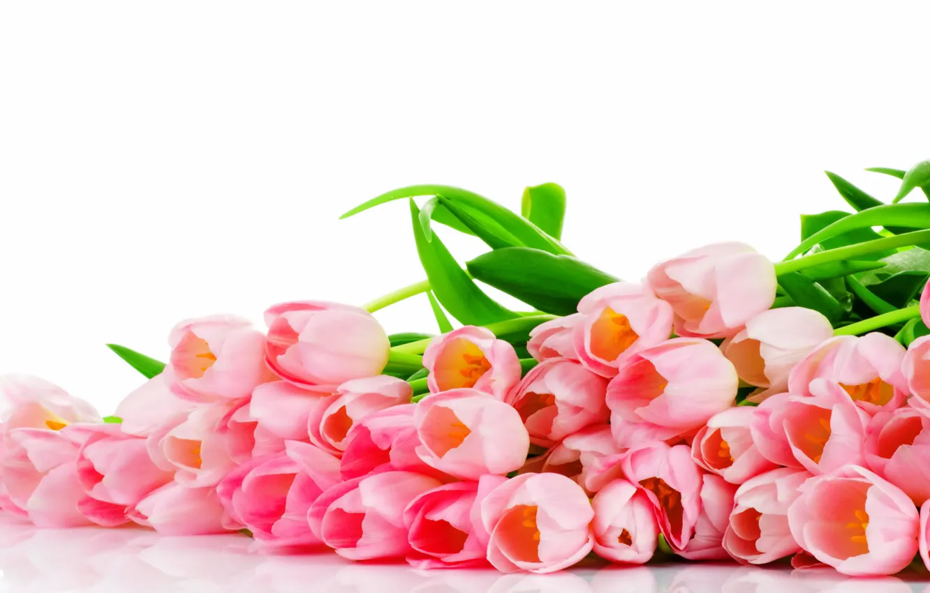 Photo wallpaper flowers, bouquet, tulips, pink, pink, flowers, tulips