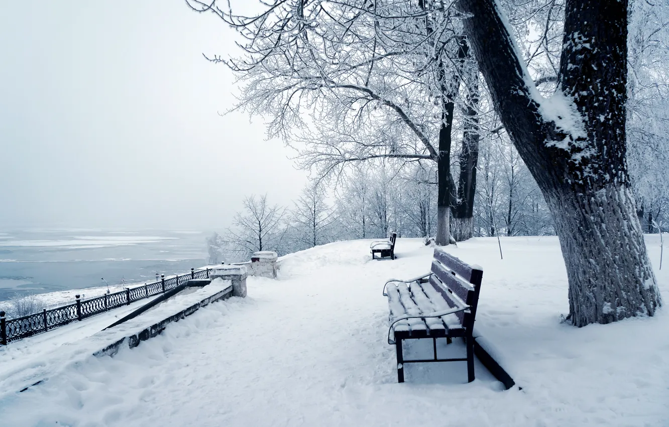 Photo wallpaper photo, Nature, Winter, Snow, Bench, The trunk of the tree