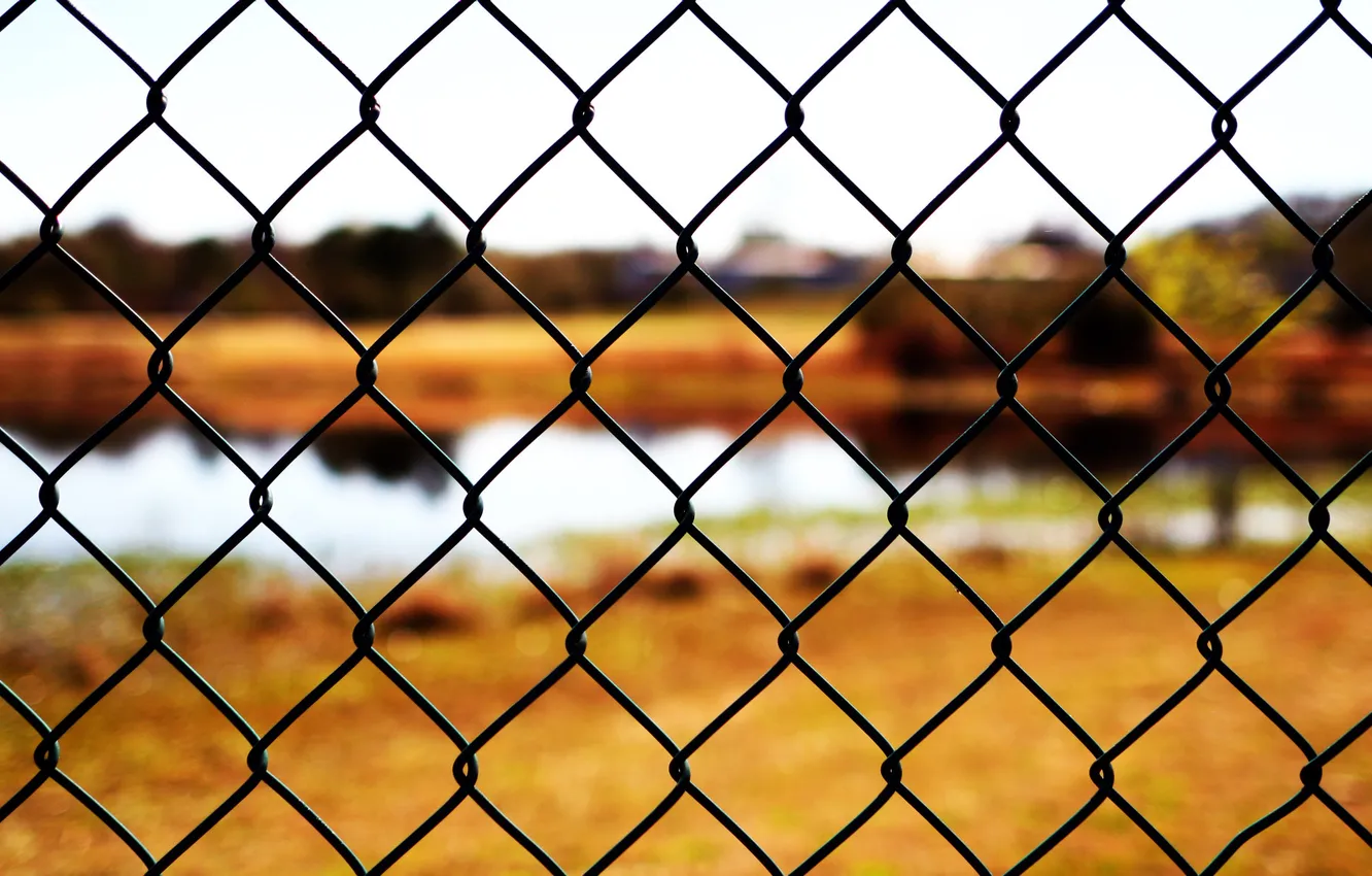 Photo wallpaper macro, photo, creative, the fence, wire, focus, background pictures