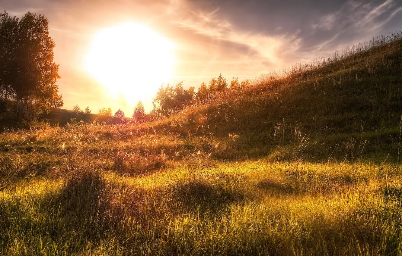 Photo wallpaper field, light, landscape, sunset