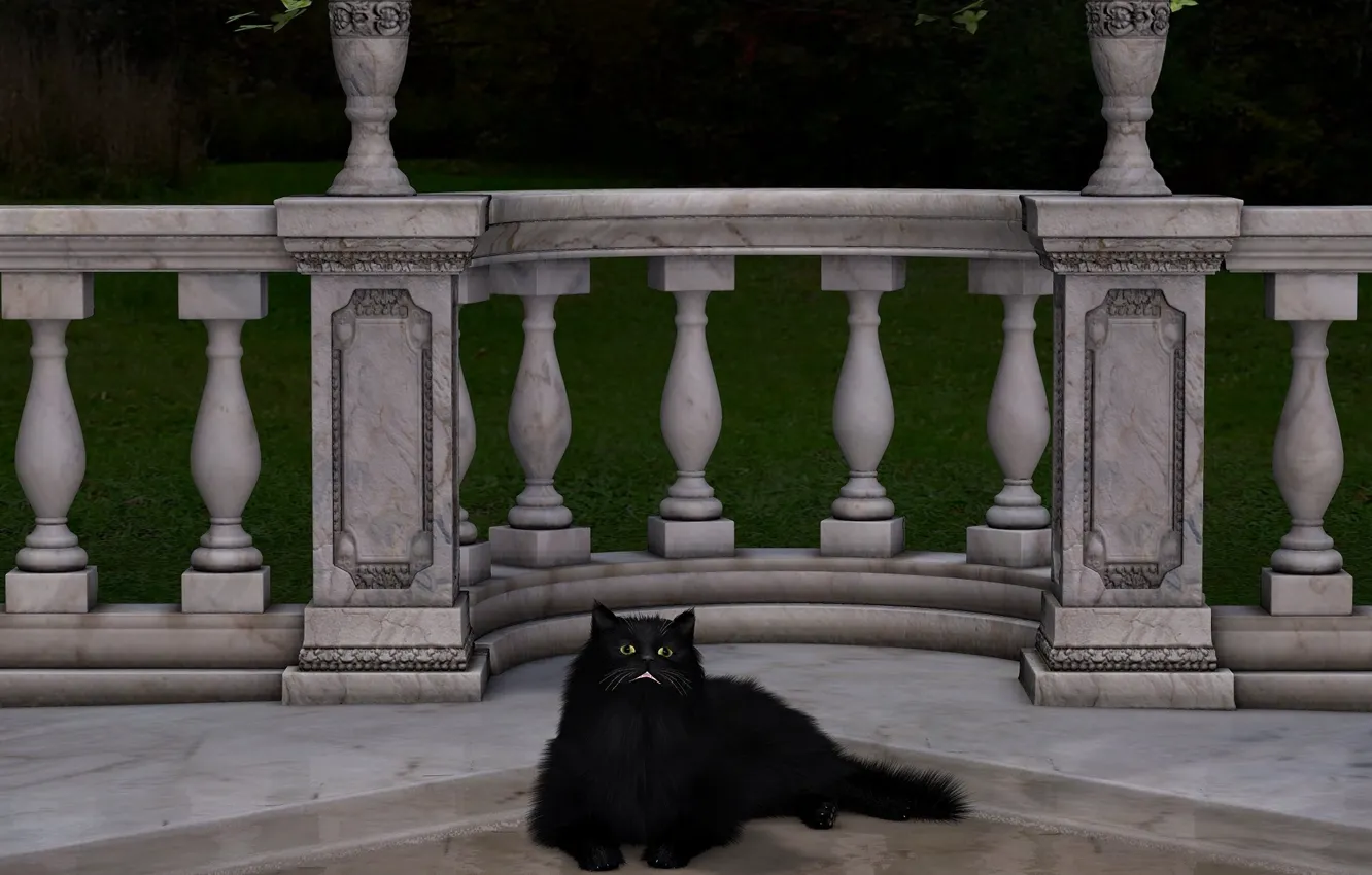 Photo wallpaper black, cat, fluffy