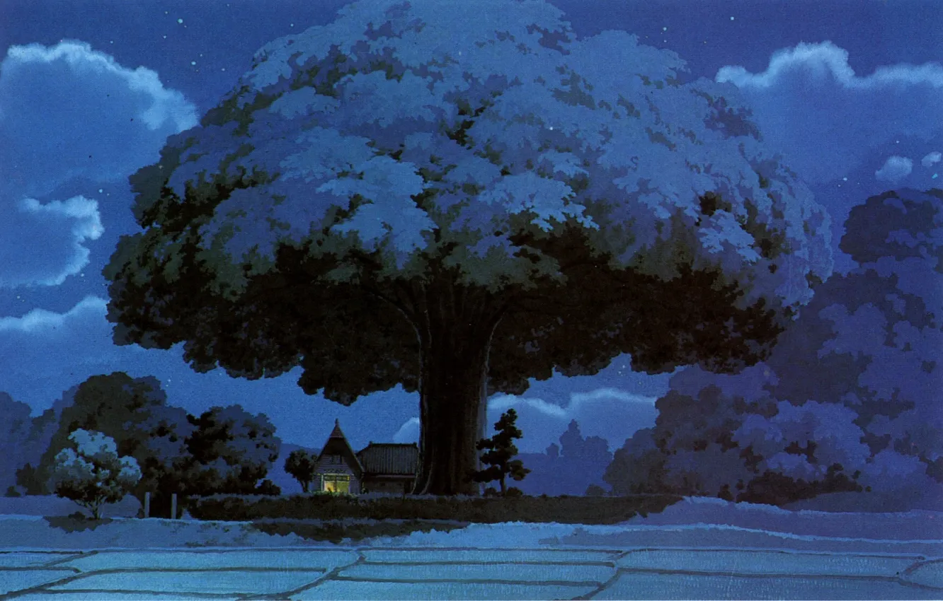 Photo wallpaper anime, Totoro, fantasy art, Studio Ghibli