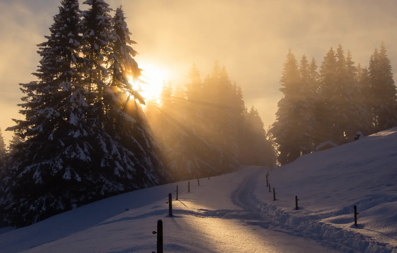 Photo wallpaper winter, the sun, light, snow, France, December
