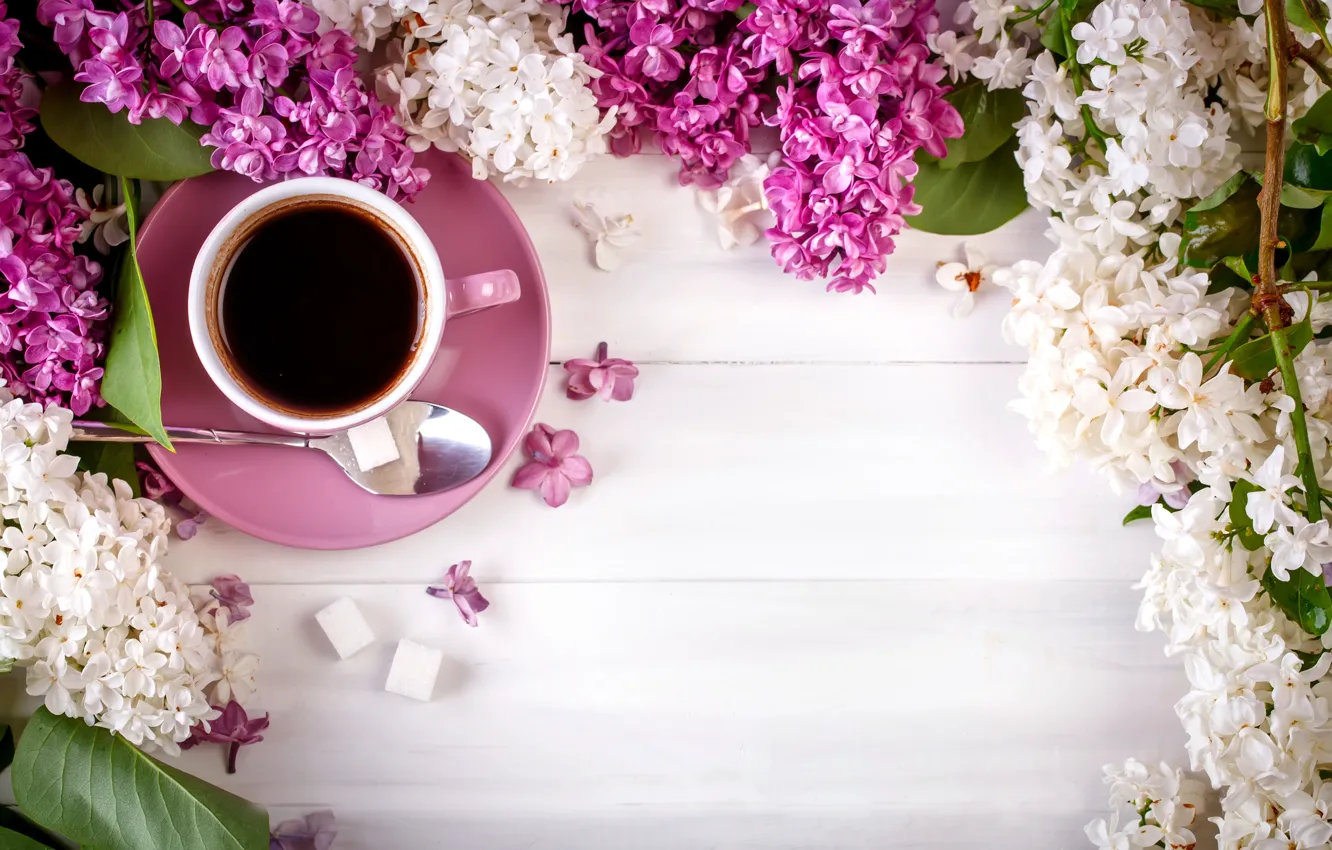 Photo wallpaper coffee, Cup, still life, lilac