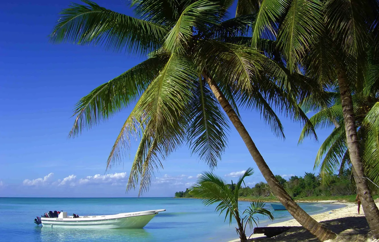 Photo wallpaper beach, palm trees, the ocean, boats