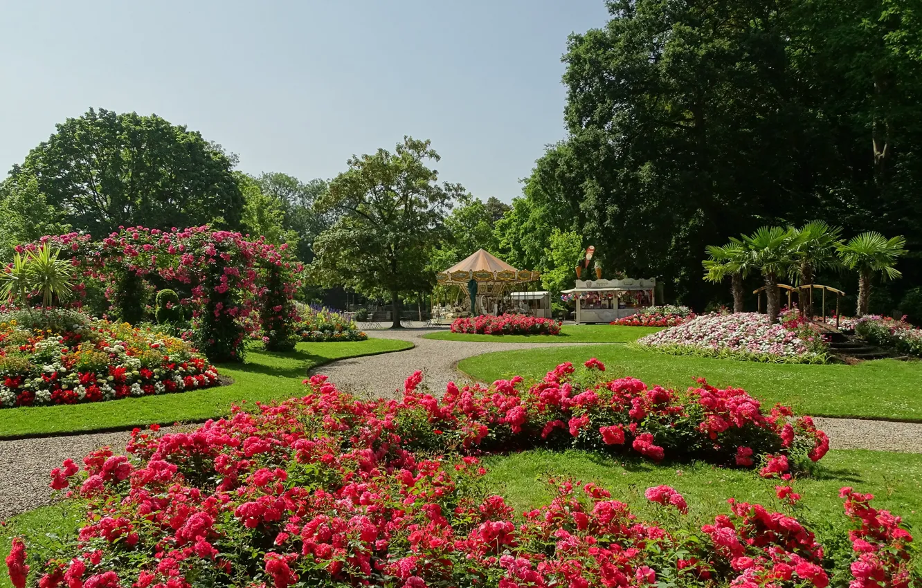 Photo wallpaper summer, flowers, Park, track, carousel, flowerbed