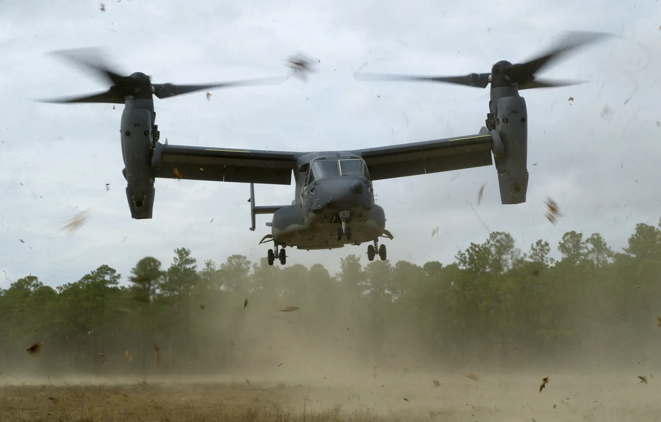 Photo wallpaper forest, leaves, USA, landing, BBC, the tiltrotor, Osprey, Bell-Boeing