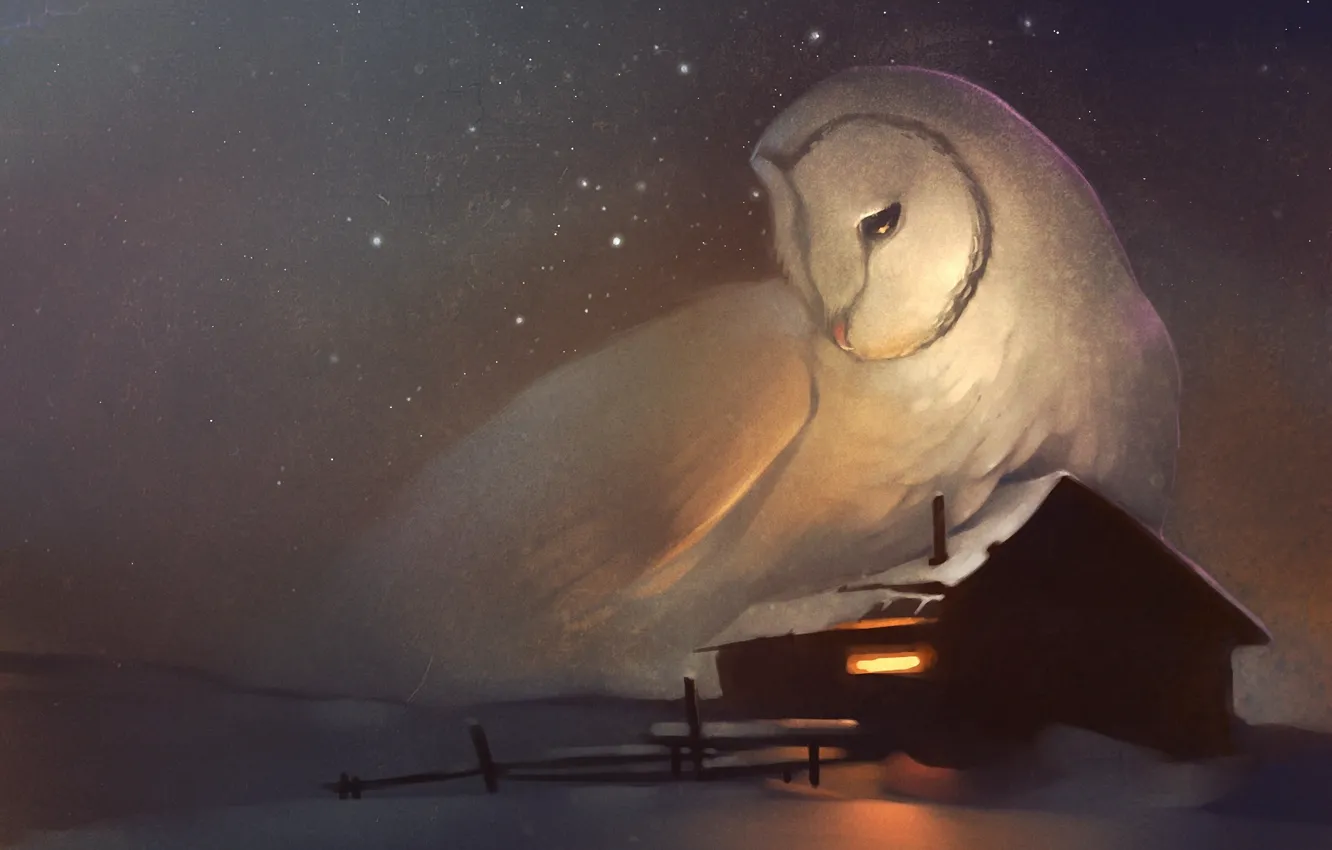 Photo wallpaper winter, stars, owl, home, window, art