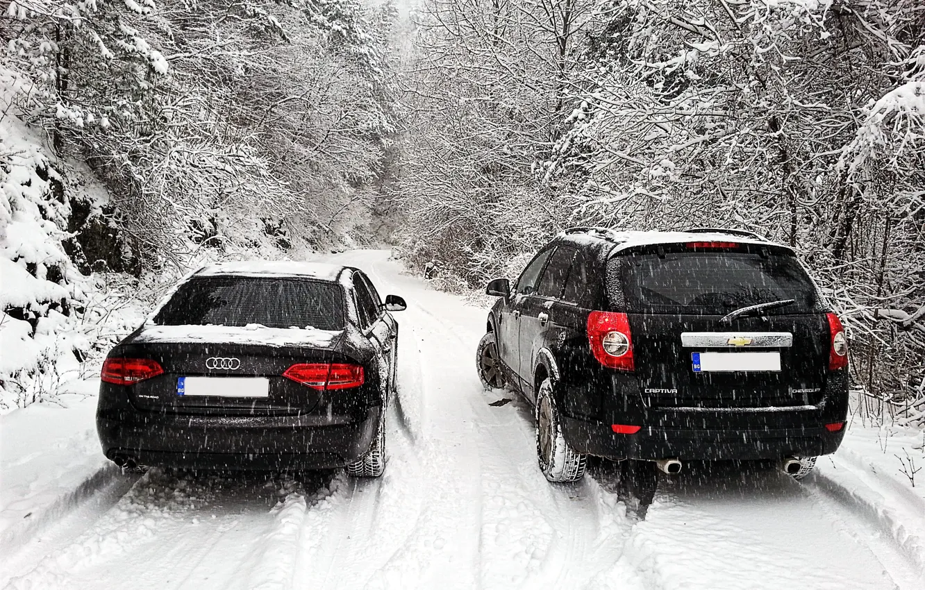 Photo wallpaper Audi, chevrolet, winter, snow, bulgaria, captiva