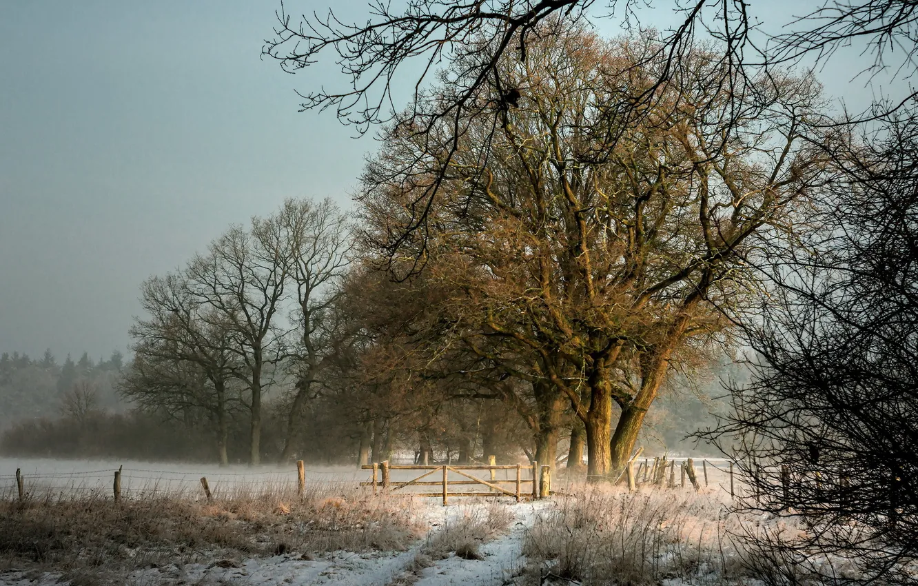 Photo wallpaper winter, field, landscape, the fence
