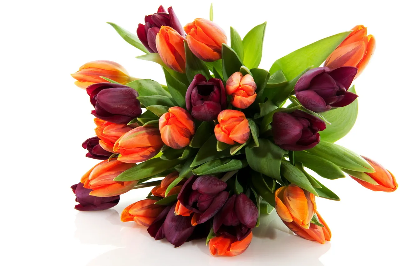 Photo wallpaper flowers, nature, bouquet, spring, tulips