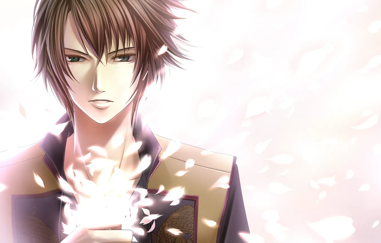 Photo wallpaper lights, petals, Sakura, guy, Hakuouki, Demons pale cherry, Okita Souji, Hekketsu-roku