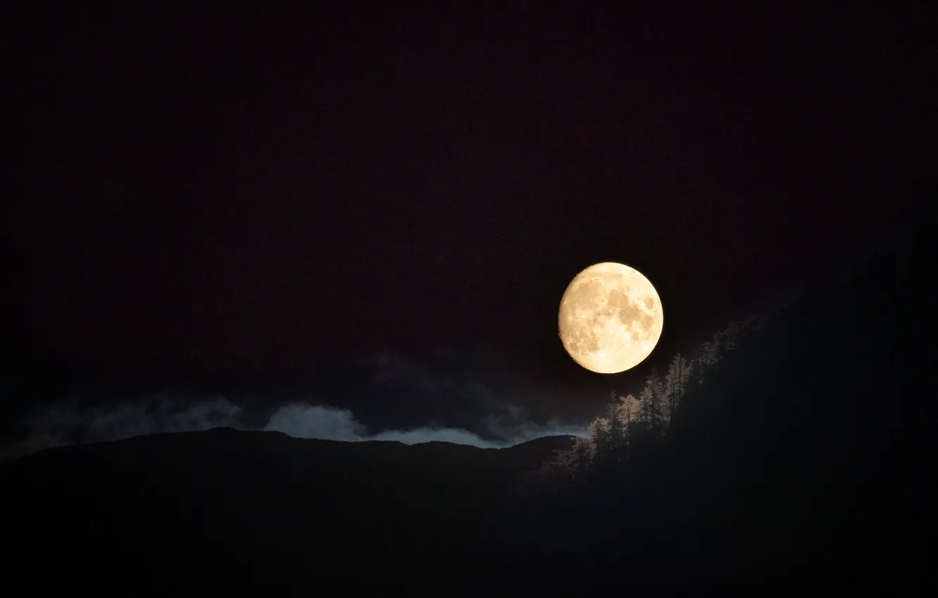 Photo wallpaper night, nature, the moon