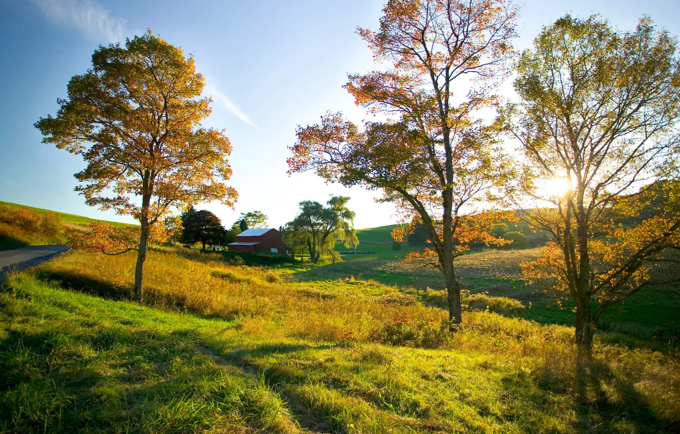 Photo wallpaper road, field, autumn, the sky, trees, mood, space, house