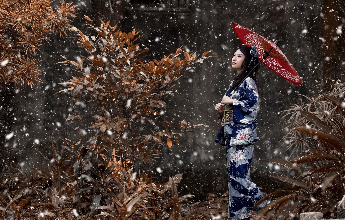 Photo wallpaper girl, snow, branches, umbrella, kimono, peer