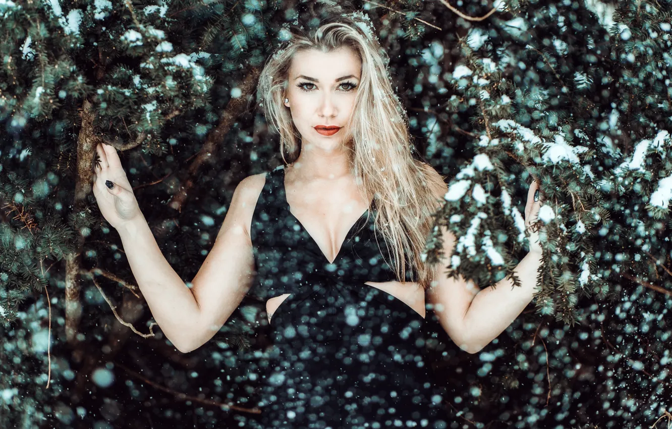 Photo wallpaper winter, look, snow, branches, portrait, hands, dress, blonde