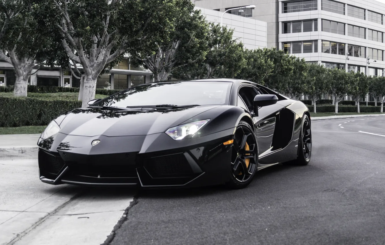 Photo wallpaper trees, reflection, street, black, building, Lamborghini, window, black